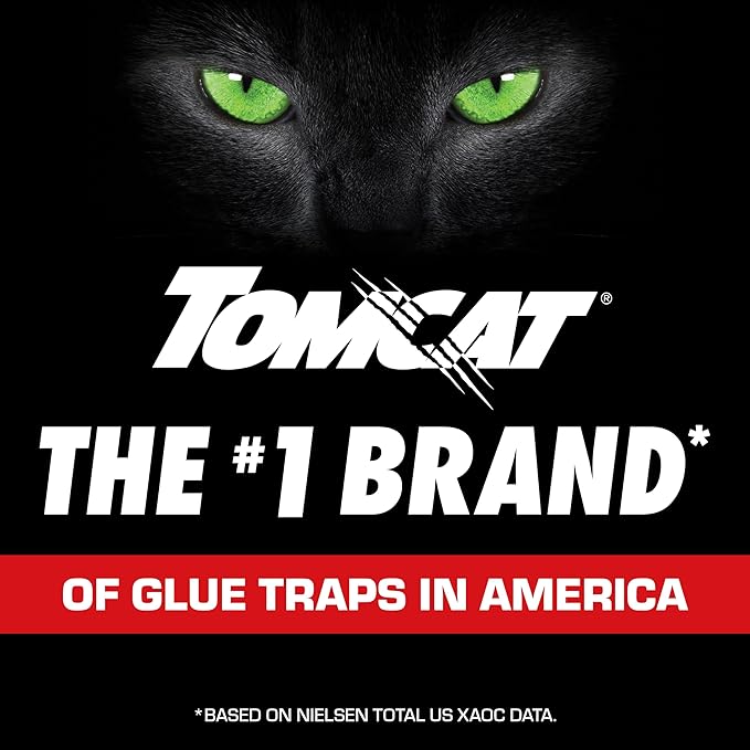 Tomcat Super Hold Glue Traps Mouse Size for Mice, Cockroaches, Spiders, and Scorpions, Ready-To-Use, 4 Traps (2-Pack)
