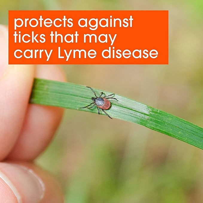OFF! Deep Woods Insect Repellent V Ticks Aerosol 6 oz, Pack of 6