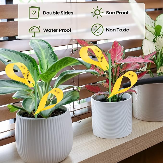 150 Pack Fungus Gnat Trap Sticky Houseplant Yellow Stakes Insect Sticky Trap for Indoor Outdoor Garden Houseplant Fungus Gnat Fruit Flies Mosquito