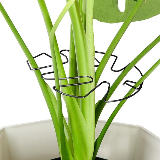 10PCS Iron Monstera Plant Support, Uniquely Designed Indoor Plant Accessories, Stable Plant Support Stakes for Indoor Plant, Turtle Shell Bamboo Clamp Set for Thriving Growth