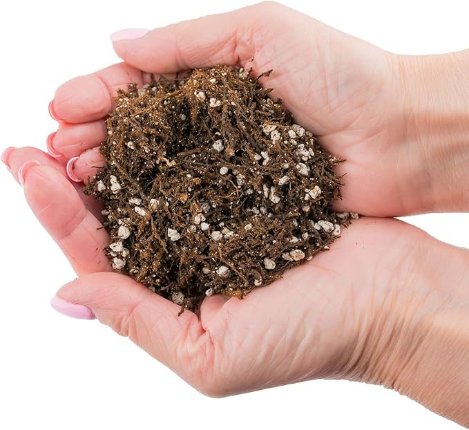 Premium Organic Potting Soil, Succulent & Cactus Soil Mix, Fast Draining Pre-Mixed Blend - Horticultural Perlite (25%) + Peat Moss (75%) - Made in USA - 4 Quart