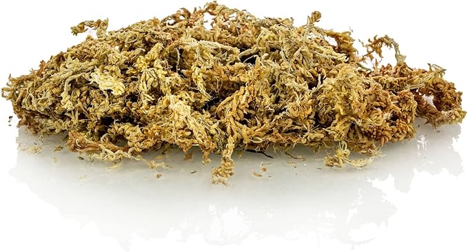 Ixora Plant Potting Soil - All-Natural Blend for Thriving Ixora Plants - Boosts Root Health and Vibrant Blossoms - 10 Quart