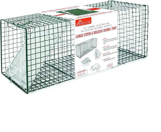 HOMESTEAD 32 Inch Live Animal Trap - Specialized for Raccoons, Opossums, Groundhogs, Skunks, Feral Cats, Squirrels - Humane Way Catch & Release Animal Trap
