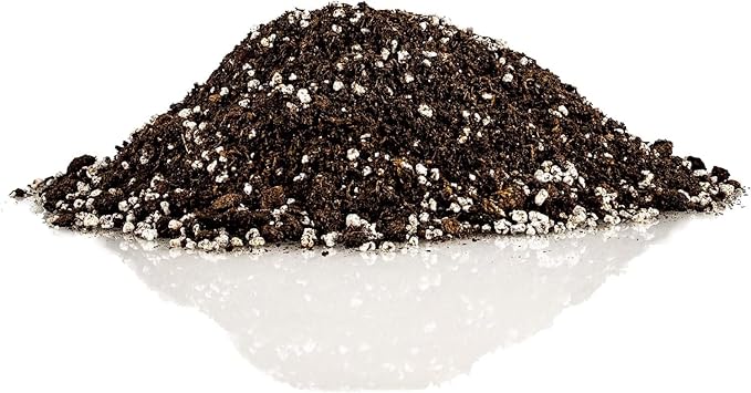 Premium Apricot Potting Soil Mix - Ideal Nutrient Blend for Growing Robust, Flavorful, and Bountiful Apricots - 10 Quart