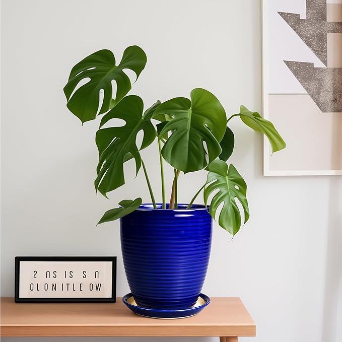 Round Ceramic Planter - Modern 8 Inch Plant Pot with Drainage Hole and Tray for Flower Indoor Outdoor Garden Decor Blue