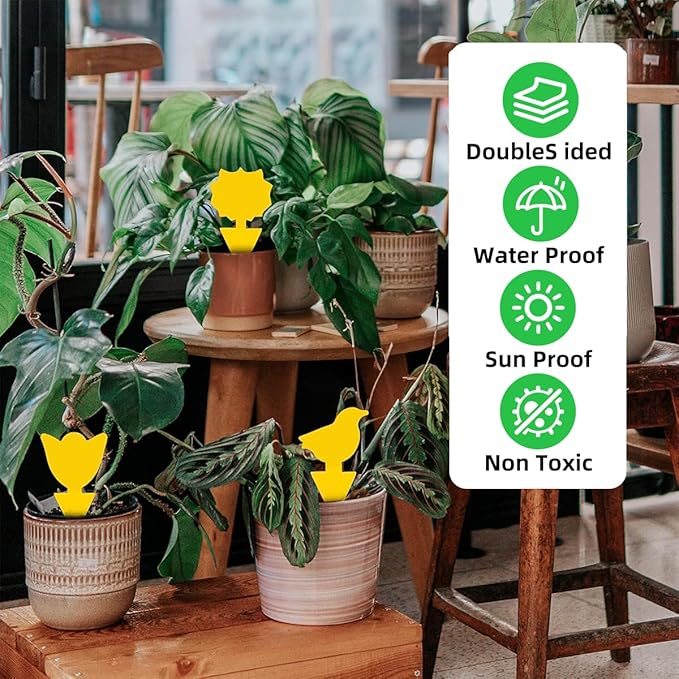60 Pcs Classic Sticky Traps for Fungus Gnat (Plants), Fruit Fly, Whitefly, and Fly, Yellow Sticky Insect Catcher Traps for Indoor/Outdoor, Kitchen, and Plants, High-End Glue, Non-Toxic, 4 Shapes