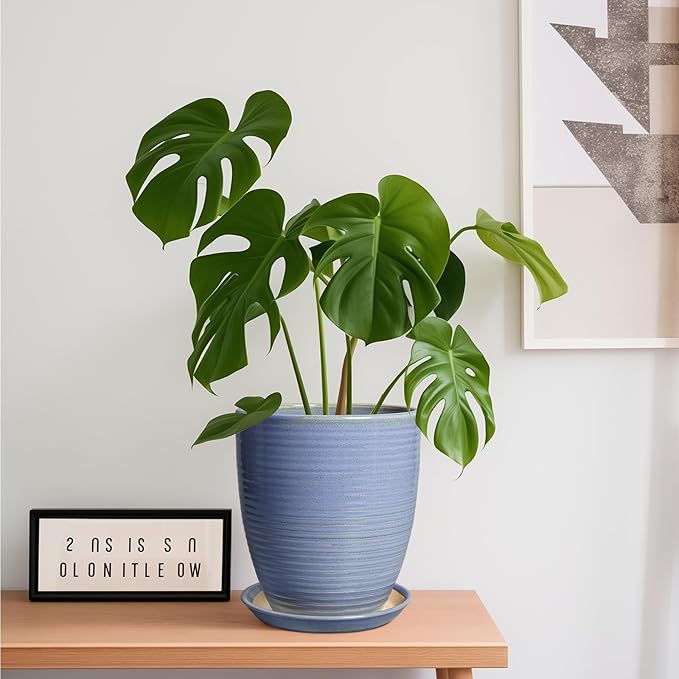 EEPFamily 8 Inch Plant Pot- Ceramic Planter for Indoor Outdoor with Drainage Hole and Plant Tray, Modern Round Porch Home Office Garden Living Room Decor, House Warming Gifts, Blue-Purple