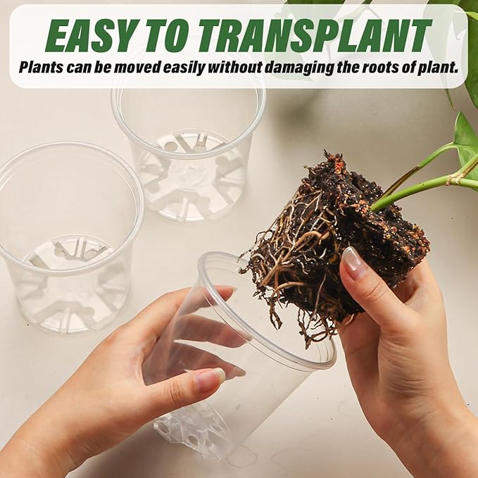 3.5" Clear Seeding Pots 100-Pack Round for Seeds Starter Pots, Seeds Germination Transparent Nursery Pots with Drainage Holes (100PCS)