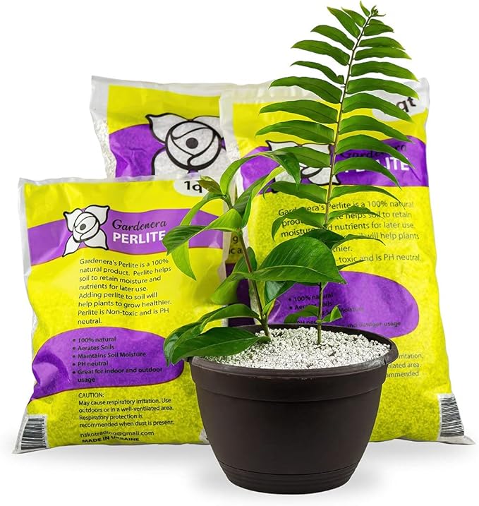 Organic Perlite - Medium/Fine Grade (5 Quart Bag) Horticultural Soil Amendment for Indoor & Outdoor Container Plants for Drainage Management and Enhanced Growth