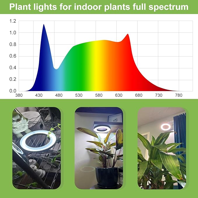 Full Spectrum Grow Light for Indoor Plants, 72 LEDs Halo Plant Light with Auto On/Off Timer (4/8/12H), 10-Level Brightness, 3 Lighting Modes, for Small Plants & Seedlings (White, One Head)
