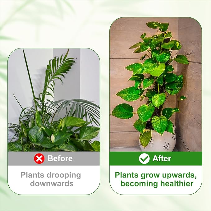 uxcell Plant Support Stakes Set, 8 Pcs Twig Plant Stem Support Structures 27.5" Plants Branches Supports with Extension Poles, Orchid Clips, Plants Tie for House Potted Monstera, Brown