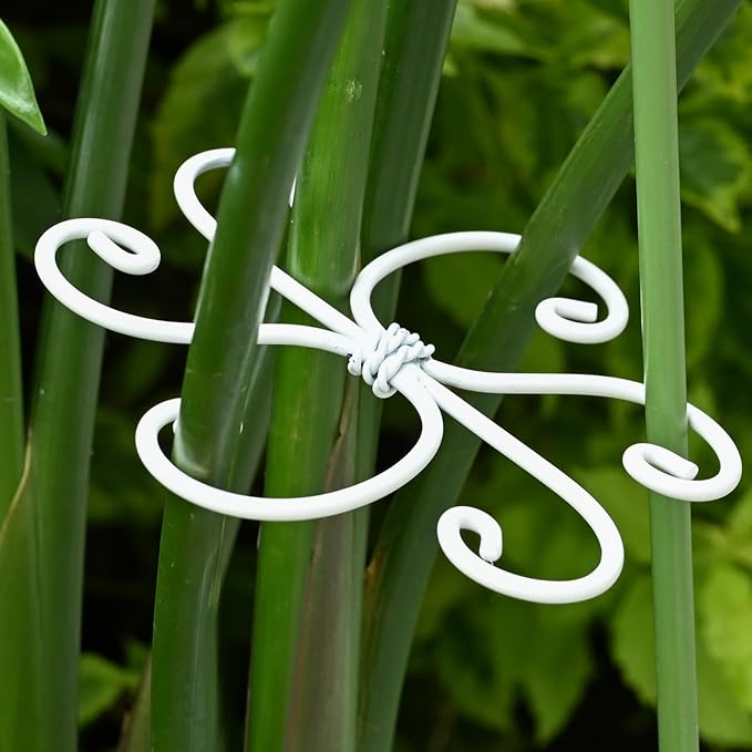 5PCS Monstera Plant Support Hook White 4.1 * 4.1 Inch – Set of 5 Durable Metal Stem Stabilizer Clips & Soft Grip Leaf Holders for Healthy Growth of Monstera & Fishbone Cactus