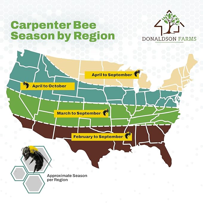 Carpenter Bee Repellent Spray – Organic Citrus Oil Spray for Outdoor Timber Structures and Furniture, 8oz