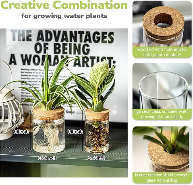 Glass Propagation Stations for Plants -Desktop Flower Vases,Propagation Flower Vases Set – 2 Sizes Planter Propagated Jars,for Plant Cuttings,for Living Room, Bedroom Decoration,Home,Office Decor(4)