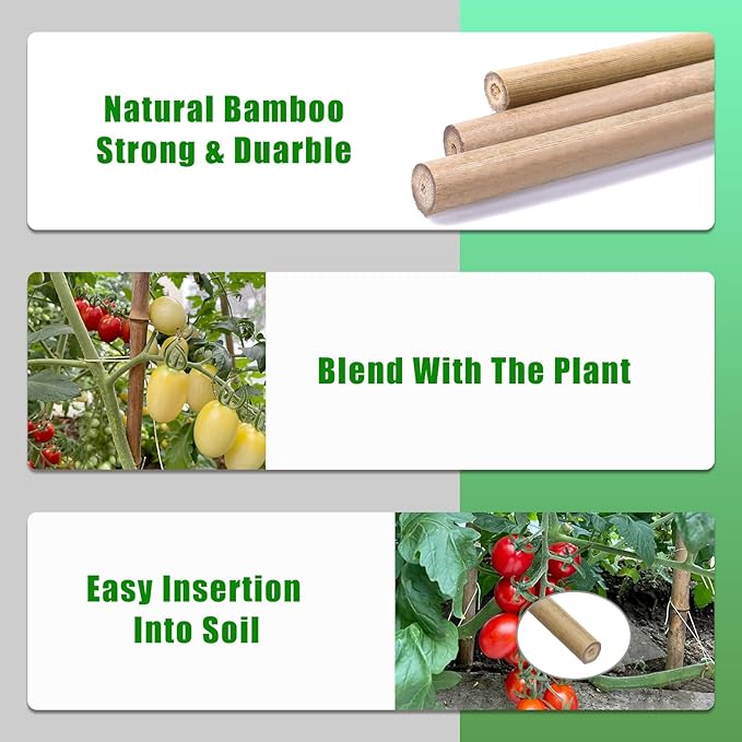 Plant Bamboo Post,4Feet,Bamboo Garden Stakes,50PcsBamboo Stakes,for Tomato,Beans,Vegetable and Flowers, Potted Plants,Indoor and Outdoor Climbing Plants