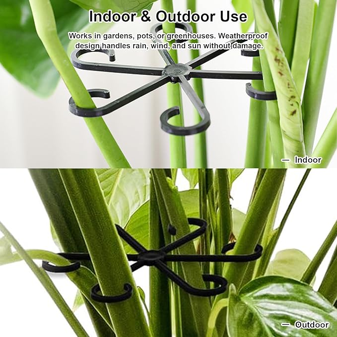 6pcs Climbing Houseplant Stem Supports,Plant stem Support Indoor Outdoor Use,Stem Hook Growth Accessories for Plant Garden, Promotes Upright Growth and Airflow(Black)