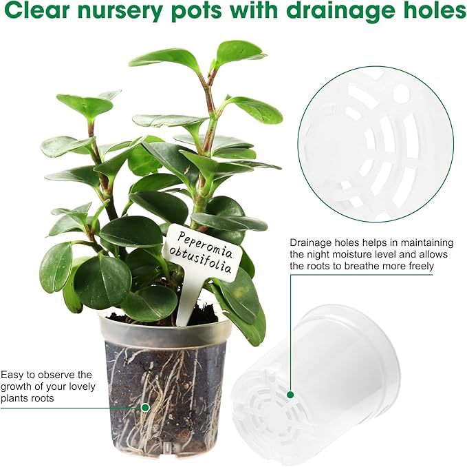 40 Pcs 4.3 Inch Clear Nursery Pots for Plants, Transparent Plastic Plant Pots with Drain Holes, Seed Starter Planter Container with 20 Plant Labels for Flowers Vegetable Seedlings