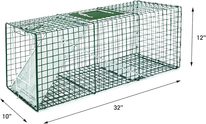 HOMESTEAD 2-Pack Live Animal Trap - Specialized for Raccoons, Opossums, Groundhogs, Skunks, Feral Cats, Squirrels - Heavy Duty Steel Traps, 1-Door, Green, Humane Catch & Release Animal Trap,89-302