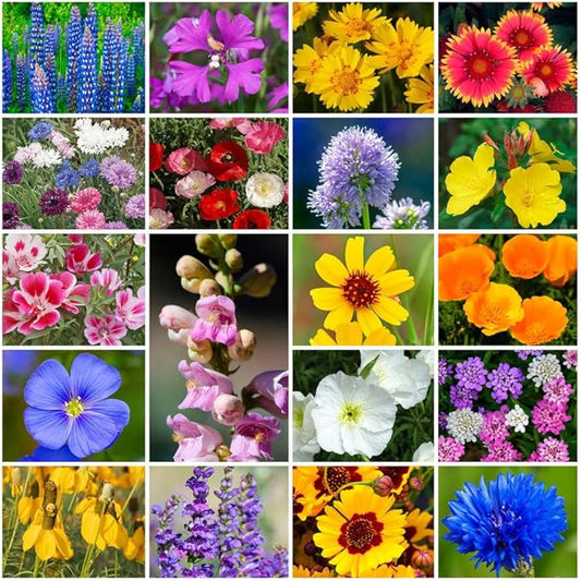 Park Seed Grow Your Own Vibrant Annual and Perennial Wildflower Garden Seeds Mixture, Easy to Grow Varieties for Pollinators and Spring Gardens - Western Regional Mix, 1 lb