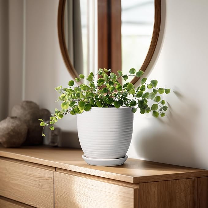 Ceramic Pots for Plants - 6 Inch Plant Pot with Drainage Hole and Saucer, Round Planters for Indoor Outdoor, Flower Pots, Modern Planter, Home Office Room Decor, Gifts for Plant Lovers, White