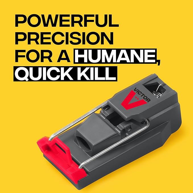 Victor M123SSR Quick-Kill Easy Set Mouse Trap, 6 Reusable Victor Mouse Traps
