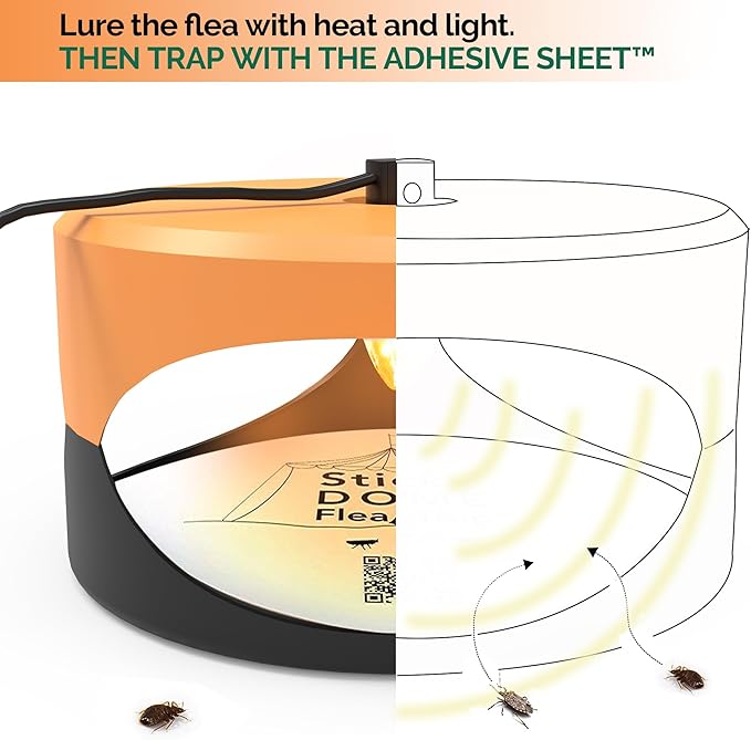 ASPECTEK Sticky Dome Flea Trap, Odorless Glue Trap with 2 Sticky Discs, Effective Bed Bug Killer and Flea and Tick Treatment, Indoor Insect Trap for Bugs, 1 Pack in Orange and Dark Gray