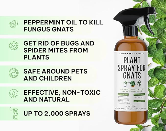 Kate's Home & Garden Plant Spray for Insects & Getting Rid of Gnats with 12 Sticky Traps. Fungus Gnat Killer & Bug Spray for Indoor Plants (16oz, Peppermint, Pet Safe, Non Toxic)