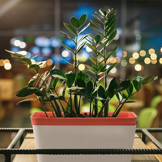 6 Set Window Herb Planter Box Self Watering Plant Pots 10.6 Inch Rectangular Herb Pots Decorative Garden Flower Box for Indoor, Succulent,Vegetables, Flowers