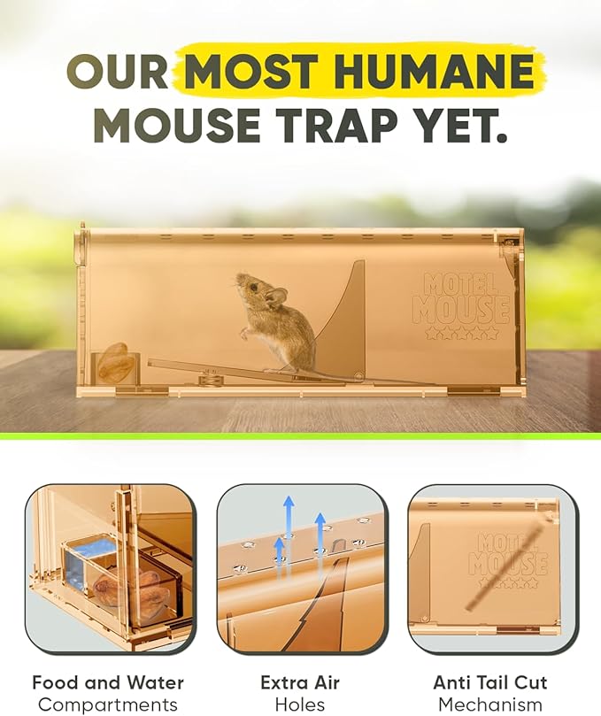 Motel Mouse Humane Mouse Traps No Kill Live Catch and Release 4 Pack - Reusable, Easy to Use & Clean, No Touch Release, Sensitive Includes Cleaning Brush, Instruction Manual & Video - Mousetrap Indoor