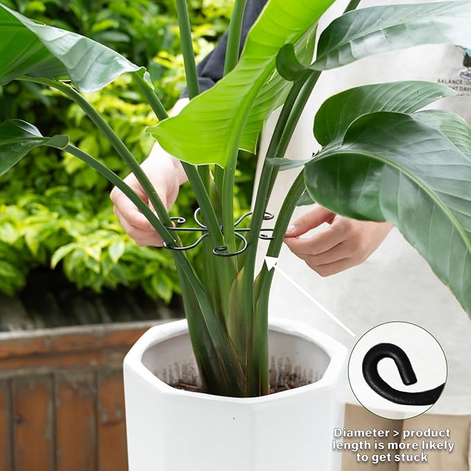 Black Monstera Plant Support 5.5IN 5PCS Premium Stem Support System for Indoor Plants, Durable Stabilizer for Monstera and Climbing Plants, Easy Installation Leaf Holder, Fishbone Cactus Stake