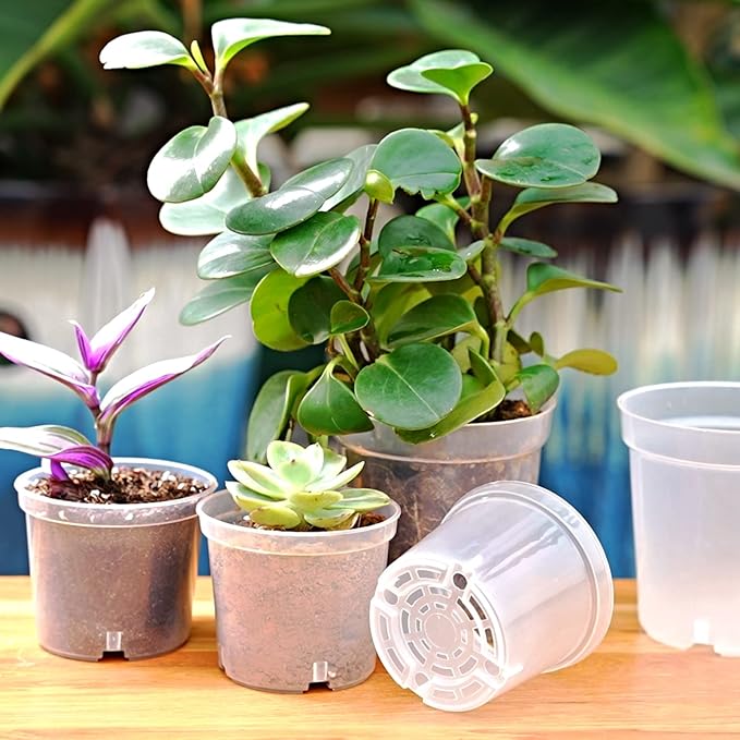 40 Pcs 4.3 Inch Clear Nursery Pots for Plants, Transparent Plastic Plant Pots with Drain Holes, Seed Starter Planter Container with 20 Plant Labels for Flowers Vegetable Seedlings