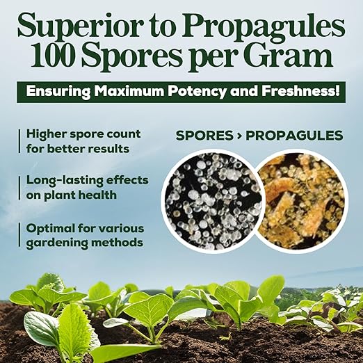 Mycorrhizal Fungi Organic Root Enhancer for Plants, Super Potent 100 Spores Per Gram, 5-Strain Blend, Rapid Results for Gardens, Houseplants, Lawns, Mycorrhizae Smart Grower 500 Grams for 500 Plants