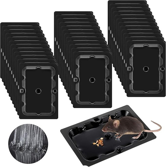 Qualirey 36 Pack Mouse and Insect Glue Traps, Strong Sticky Mice Traps Indoor for Home, Pre Scented Rodent Pads with Non Toxic Glue for House Garage, Ready to Use, Safe to Children and Pets (Black)