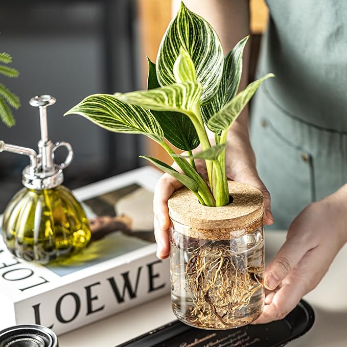Glass Propagation Stations for Plants -Desktop Flower Vases,Propagation Flower Vases Set – 2 Sizes Planter Propagated Jars,for Plant Cuttings,for Living Room, Bedroom Decoration,Home,Office Decor(4)