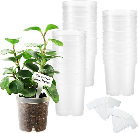 4 Inch Clear Nursery Pots for Plants, Transparent Plastic Plant Pots with Drain Holes, Seed Starter Clear Pots with 20 Plant Labels for Flowers Vegetable Seedlings 30 Pcs