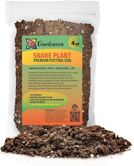 RA Premium Snake Plant Potting Soil Mix, Green Sansevieria Trifascatia Zeylanica Plants, Plant or Re-Pot Your Snake Plant - (4 Quart Bag), (SNAKE-PLANT-4QT)