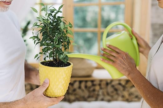 Fiddle Leaf Fig and House Plant Fertilizer Pellets |16-5-11 Slow Release Pellets for Seedlings and Mature Houseplants | Multi-Purpose Blend & Gardening Supplies| 5.2 oz Resealable Packaging