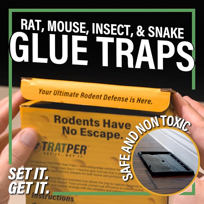 Glue Traps for Mice,Rat,Mouse,Snake,Lizard,Insect. 6 Pack. Extra Strength,Pre-Baited Adhesive.Heavy Duty Plastic Tray.Non-Toxic,Chemical-Free Pest Control for Home. 6Pack