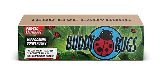 1500 Pre-Fed Live Ladybugs for Aphid Control | Hippodamia Convergens | Guaranteed Live Delivery