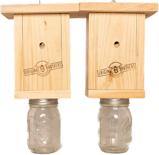 Carpenter Bee Trap