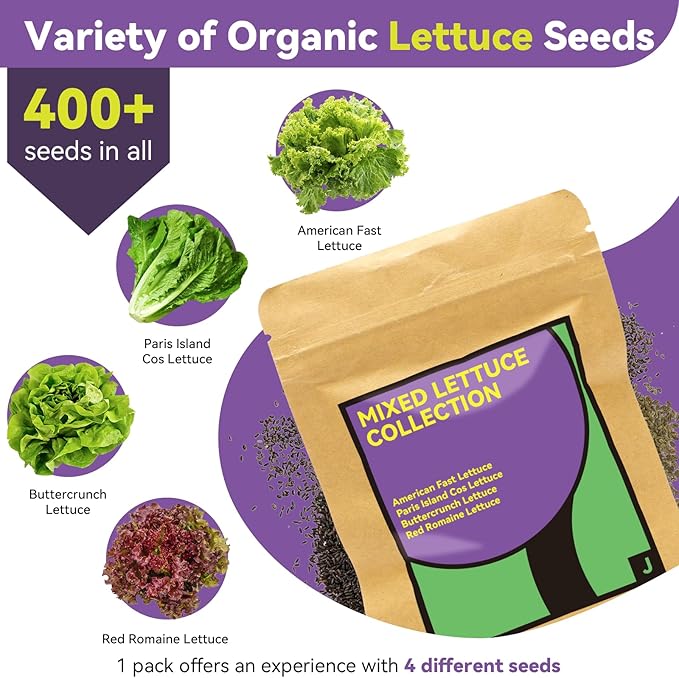 Red Romaine Lettuce Seed Pods for AeroGarden, Ahopegarden, iDOO Hydroponics Growing System Indoor, 400+ Seeds(18-Pods)