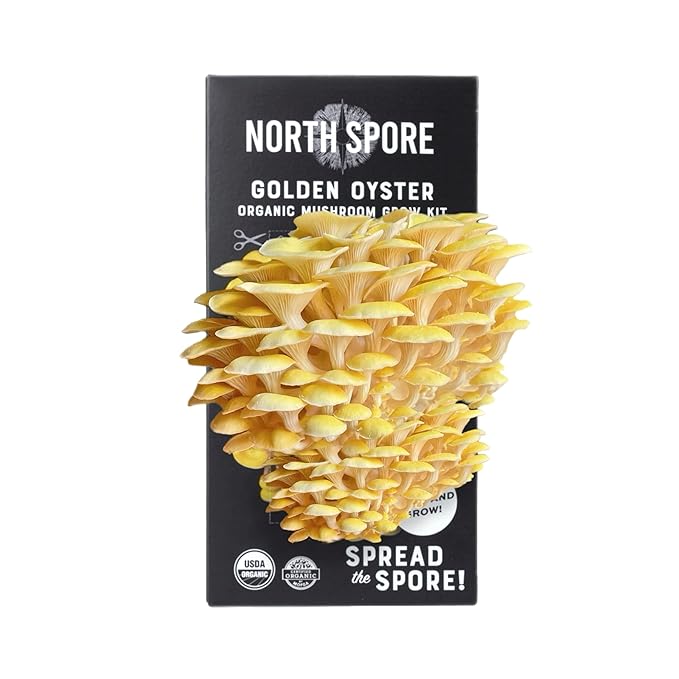 (3-Pack) North Spore Organic Blue, Pink, and Golden Oyster Mushroom Spray & Grow Kits (4 lbs each) | USDA-Certified Organic, Non-GMO, Beginner-Friendly & Easy to Use | Handmade in Maine, USA