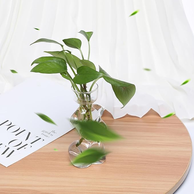 Propagation Vases for Plants Plant Propagation Jars Unique Body Avocado Vase Glass Planter Perfect for Seed Starting, Water Rooting and Home Decor Gift for Father