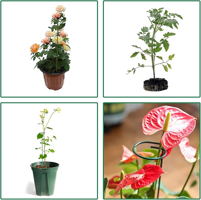 8 Pack Plant Stakes,Plant Support Stakes for Two Sizes(16 or 32 Inches),Plant Stakes for Outdoor Plants,Garden Flower,Tomato(Green)