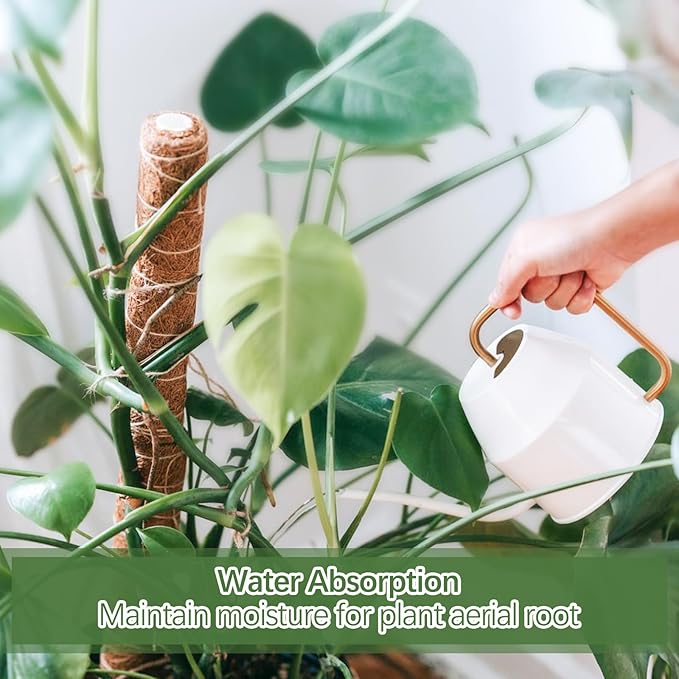 Joyhalo Moss Pole Monstera Plant Support, 6 Pcs 15.7 and 12 Inch Moss Stick for Potted Plants, Plant Pole with 65 Feet Garden Twist Tie