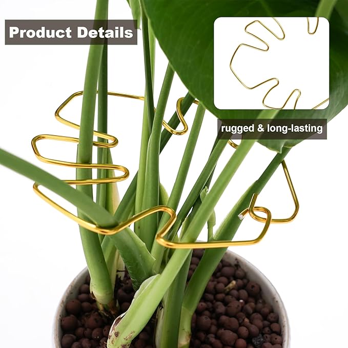 6PCS Monstera Plant Stem Support , Monstera Stabilizer Grapple Holder Unique Design for Turtle Shell Bamboo Clamp Set, Ideal Plant Support Stakes for Thriving Growth Indoor Climbing Plant (Gold)