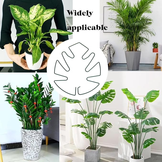 Spiritlele 5 Pcs Green Plant Stem Support Holder Set Monstera Plant Support Clamp Growth Accessories for Indoor Plants Small