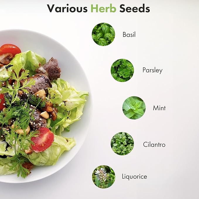 Gourmet Herb Seeds Pod Kit for AeroGarden, idoo, Ahopegarden, MUFGA Hydroponics Garden Include Cilantro, Basil, Parsley, Mint, Liquorice, 7-Pods, 350+ Seeds