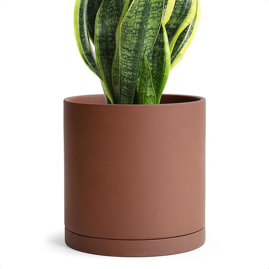 D'vine Dev 6 Inch Rust Terracotta Plant Pot with Drainage Hole and Saucer, Round Cylinder Planter Pot for Indoor Plants, 40-V-C-3