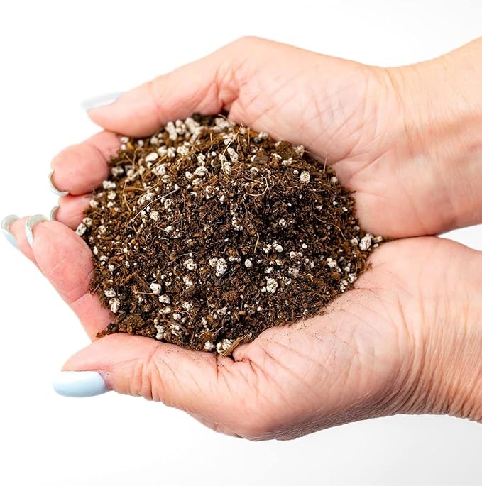 Organic Potting Soil for Tomato Plants - 10 Quart - Hand-Mixed with Natural Ingredients for Optimal Growth and Nutrient Retention